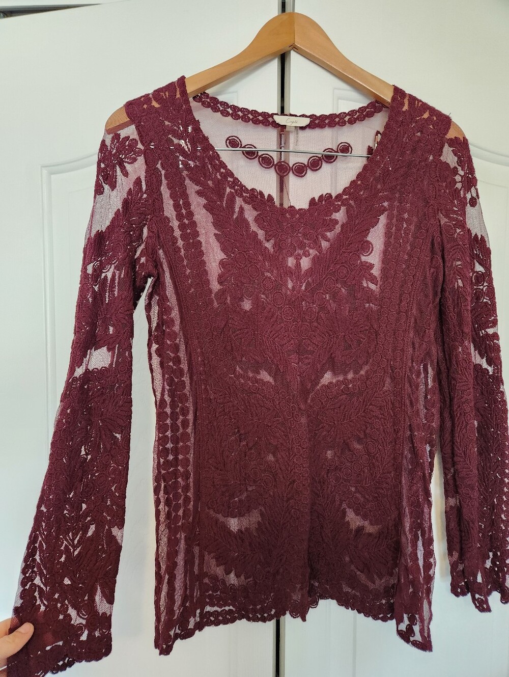 Sheer Lace Long-Sleeve Women's Top Coquette Sz S Boho Romantic